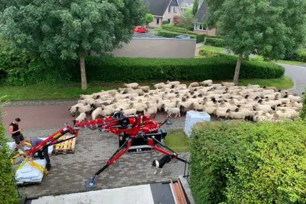 Elektrische hijskraan bij tuin