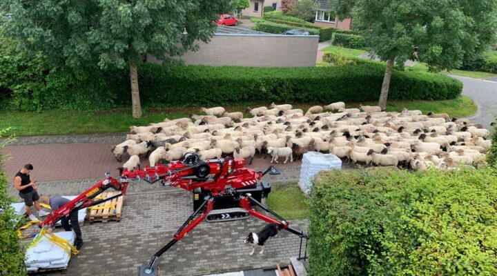 Elektrische hijskraan bij tuin